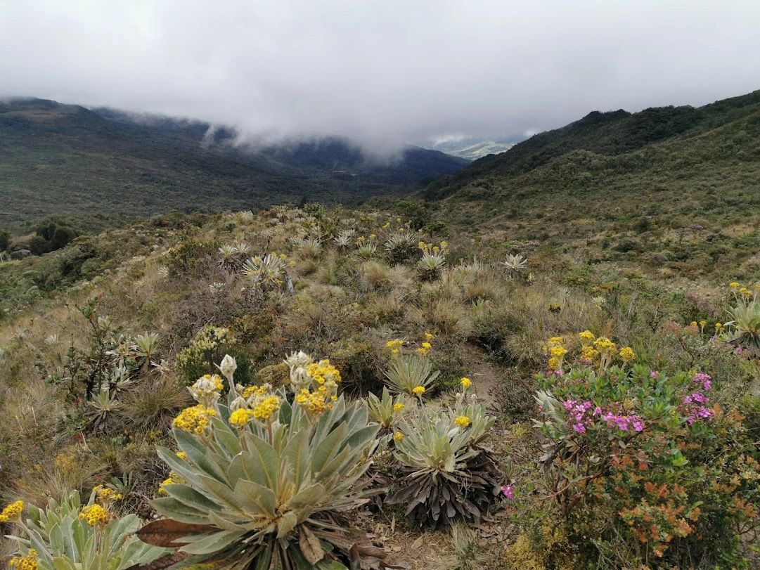 Páramo de Matarredonda